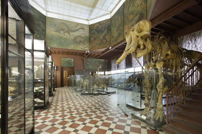 Знакомство с мамонтом в музее на Большой Никитской